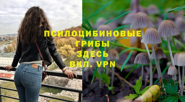 каннабис Алексеевка
