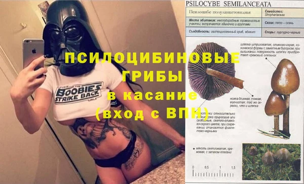 дурь Алексин