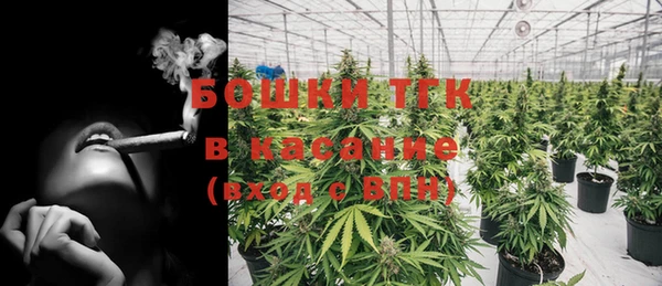 дживик Абинск