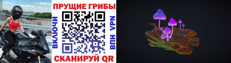 Псилоцибиновые грибы Cubensis  Омск 
